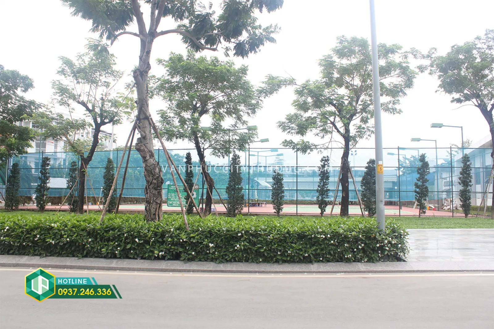 Tôi cho thuê (245m2) 20m hướng Tây Bắc